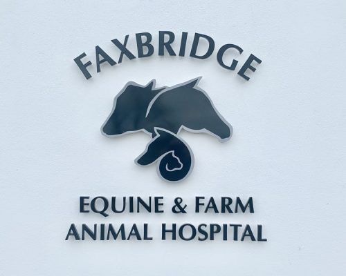 Raised Logo